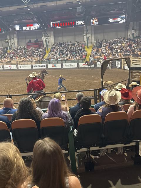 photo_337e160c-15a4-45ff-af0e-68209c82a08c.jpg