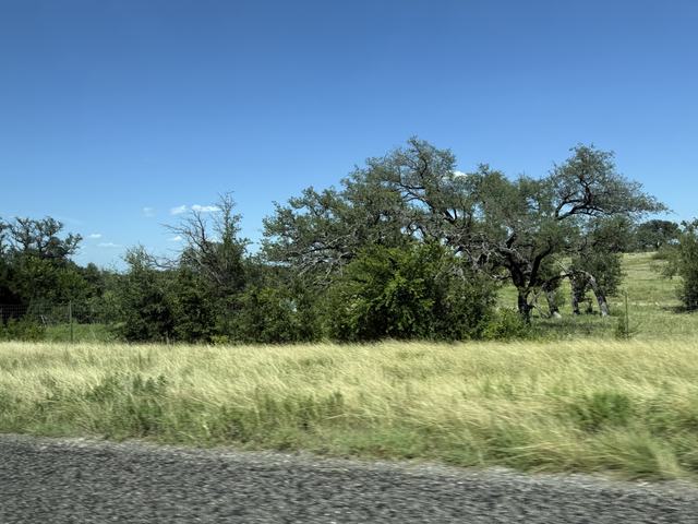 photo_0f858bff-a30b-43b4-9243-c448a63ab788.jpg