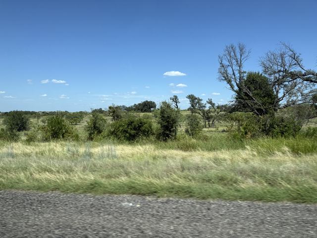 photo_5aec7346-5114-4bf2-97fb-9bb08b0af805.jpg